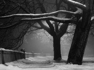 viewes, snow, Path, trees, fence