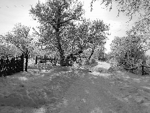 Way, old, viewes, snow, trees, Fences