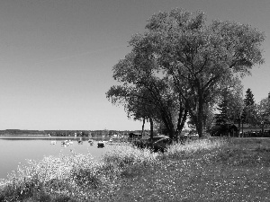 Spring, trees, viewes, lake