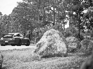 911, Red, viewes, Stones, trees, Porsche