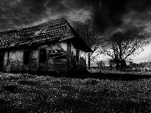 trees, house, clouds, ruin, abandoned, viewes, storm
