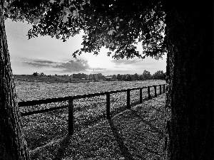 trees, Meadow, rays, fence, Field, viewes, sun