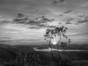 trees, Island, east, Mountains, lake, viewes, sun