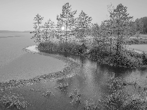 lake, Ladoga, Sunrise, trees, winter, Karelia, Russia, viewes