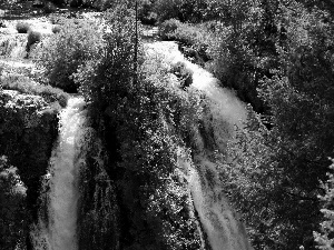 viewes, waterfall, trees