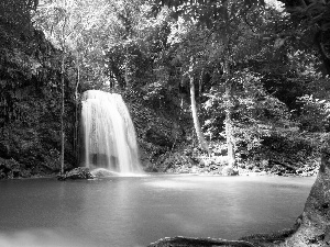 viewes, waterfall, trees