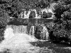 waterfall, trees, viewes, forest