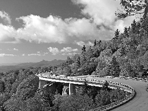 viewes, Way, color, trees, Mountains