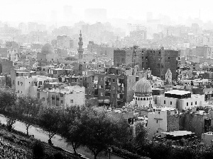 Town, Egypt, viewes, Way, trees, Cairo