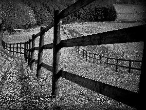 Way, trees, viewes, fence