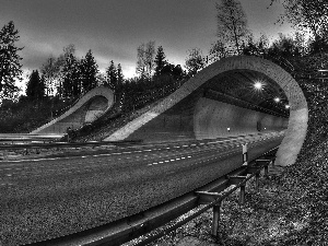 Way, trees, viewes, tunnel