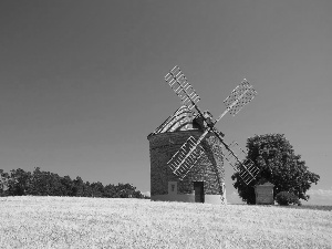 Windmill, trees, viewes, corn