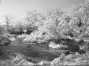 viewes, winter, Snowy, trees, River