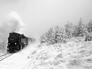 viewes, winter, woods, trees, Train