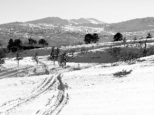 Mountains, Farms, viewes, winter, trees, field