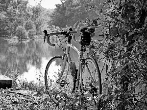 lakes, Bike, viewes, woods, trees, coast