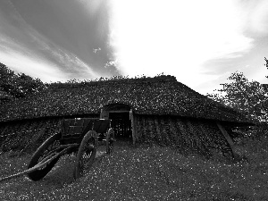 Barn, Vikings