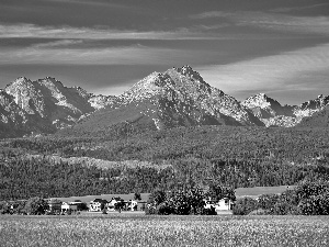 Tatras, field, village, summer