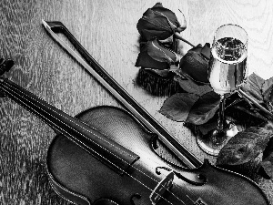 violin, bouquet, Wines, composition, wine glass, rouge
