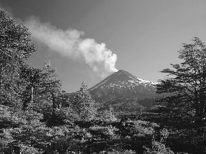 trees, mountains, volcano, viewes