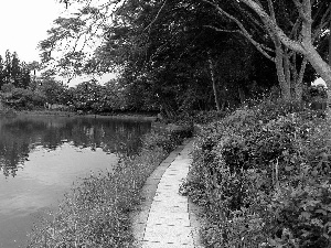 Park, Path, walking, River