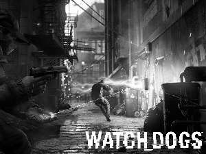 Watch Dogs, Aiden