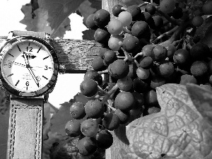 Wooden, Grapes, Watch, hand-rail