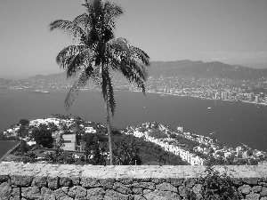 Acapulco, Palm, water, Mexico