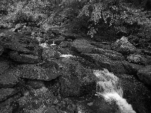 brook, Cascades, water, Stones