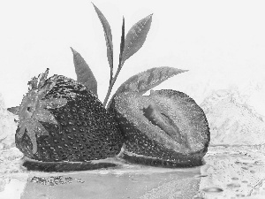 Fruits, leaf, water, Strawberry