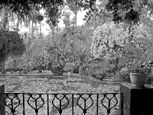 Garden, eye, water, Flowers