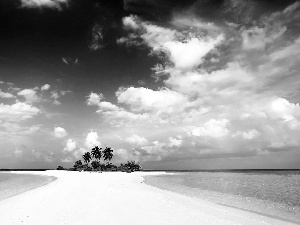 Island, Sky, water, Palms