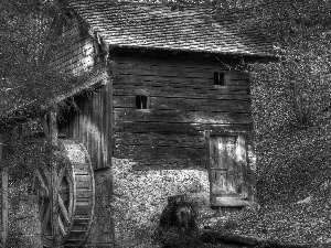 Windmill, slope, water, forest, flash, luminosity, ligh, sun, Przebijające