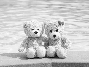 water, bear, plushies