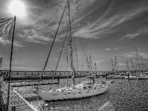 Sailboats, Harbour