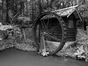 water, forest, Windmill