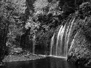 Mossbrae Falls California, forest, waterfall