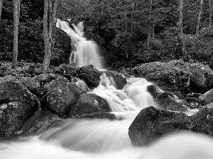 forest, mosses, waterfall, boulders