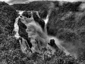 jungle, rocks, waterfall, River