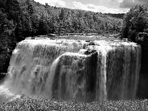 waterfall, forest, River