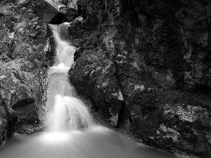 rocks, fern, waterfall, mosses