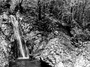 waterfall, forest, stream