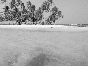 Island, sea, Waves, Palms