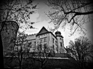 Wawel, Poland, Kraków