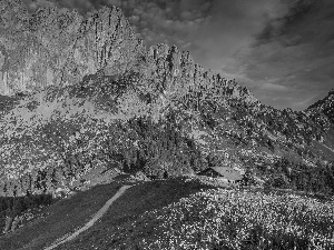 Way, house, Alps Mountains, Meadow, Switzerland