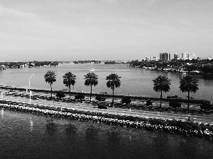 cars, Palms, Miami, Way, The United States