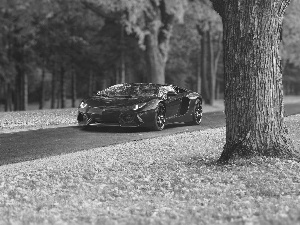 Red, Aventador, Way, Lamborghini