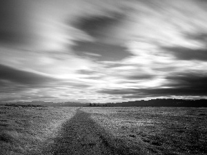 Sky, field, Way, clouds