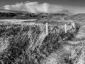 Way, fence, The Hills, pastures, clouds