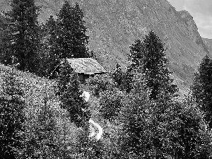 Meadow, Alps, house, forest, Mountains, Way, Tirol